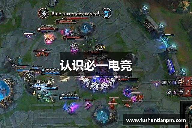 认识必一电竞